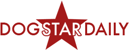 dogstar logo