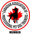 cappdt logo